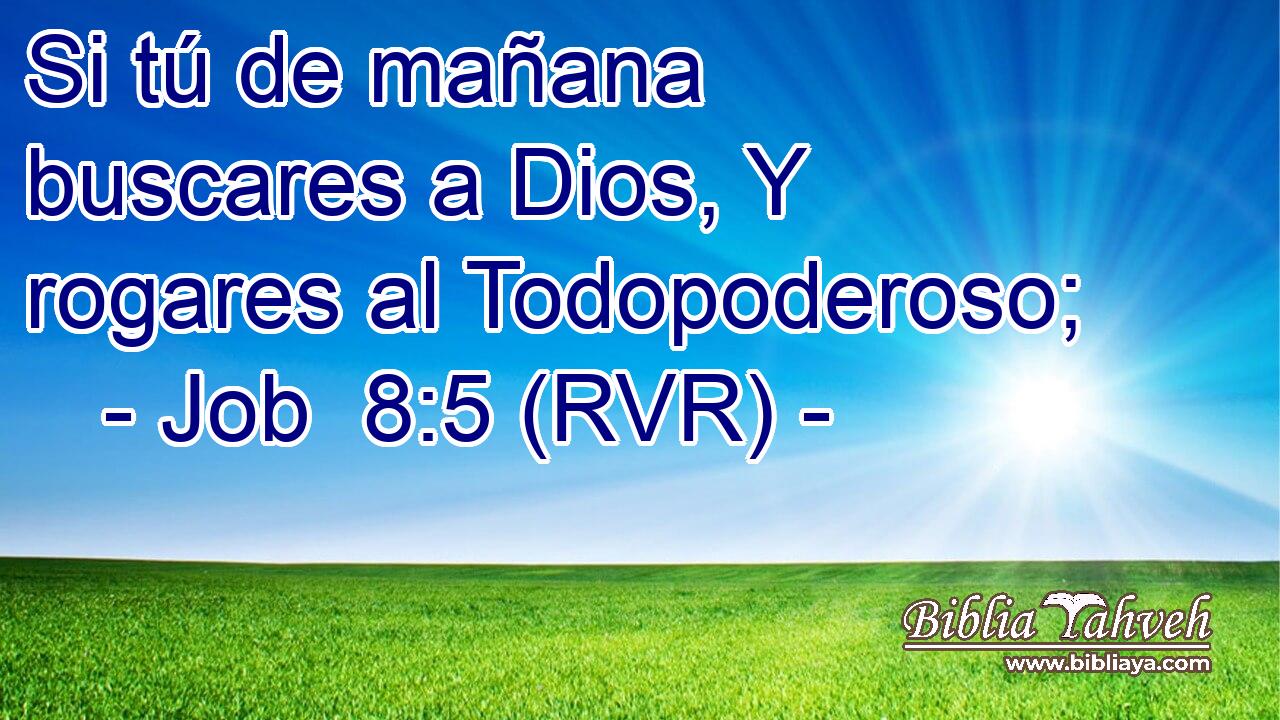 Si tú de mañana buscares a Dios, Y rogares al Todopoderoso;