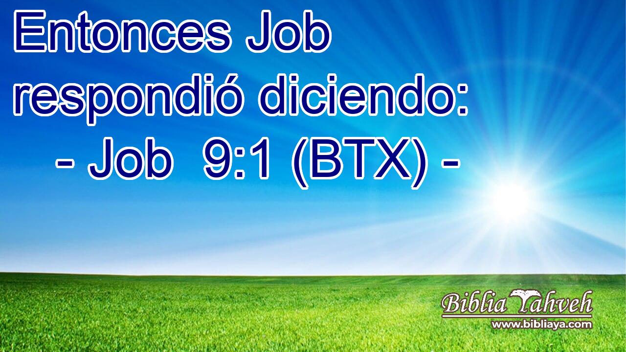 Entonces Job respondió diciendo: