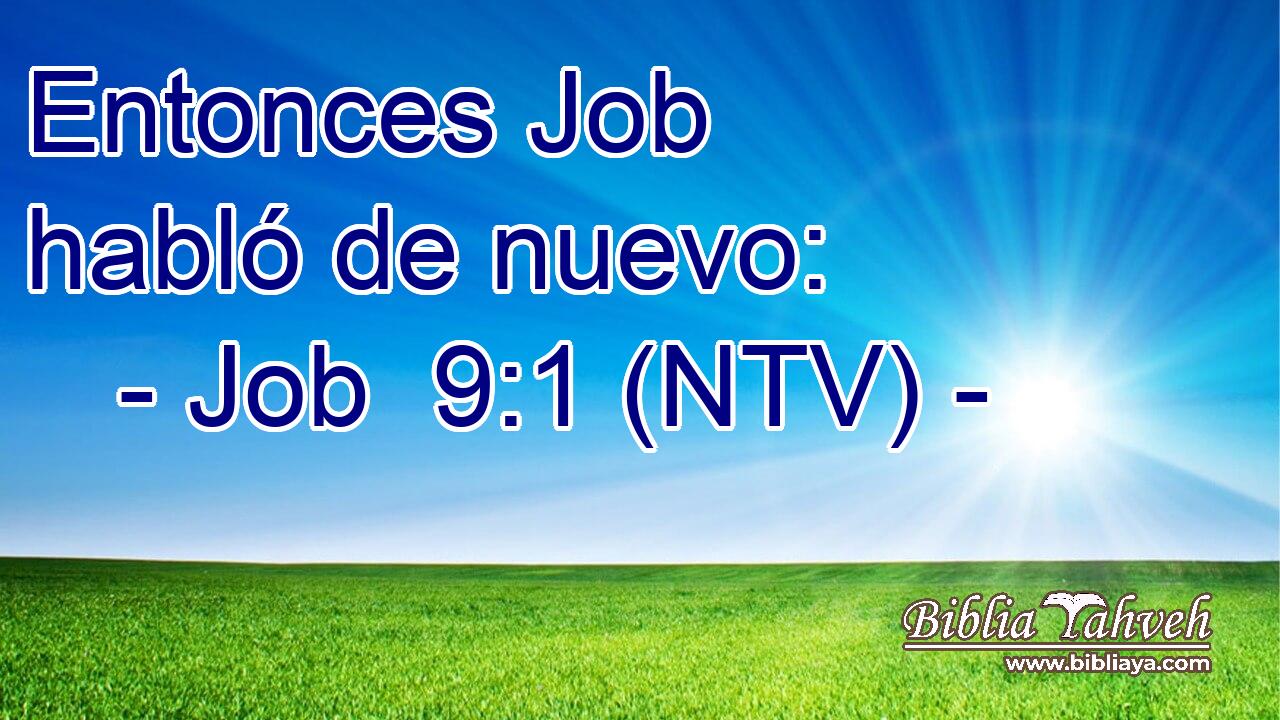 Entonces Job habló de nuevo: