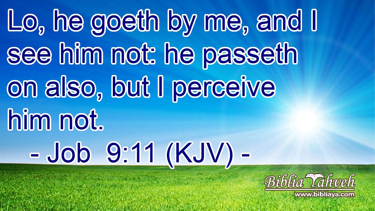 Lo, he goeth by me, and I see him not: he passeth on also, but I perceive him not.