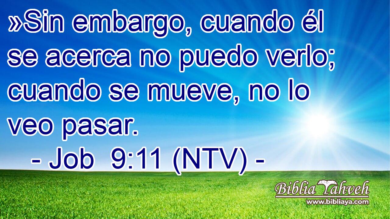 »Sin embargo, cuando él se acerca no puedo verlo; cuando se mueve, no lo veo pasar.