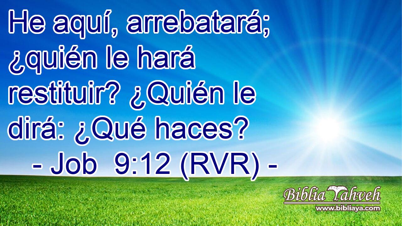 He aquí, arrebatará; ¿quién le hará restituir? ¿Quién le dirá: ¿Qué haces?
