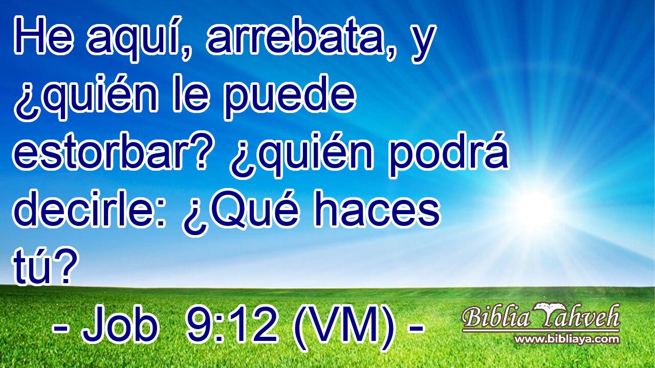  He aquí, arrebata, y ¿quién le puede estorbar? ¿quién podrá decirle: ¿Qué haces tú? 