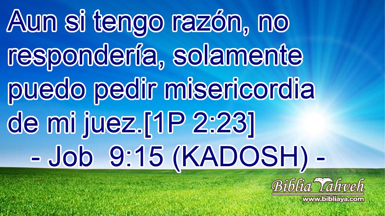  Aun si tengo razón, no respondería, solamente puedo pedir misericordia de mi juez.[1P 2:23] 