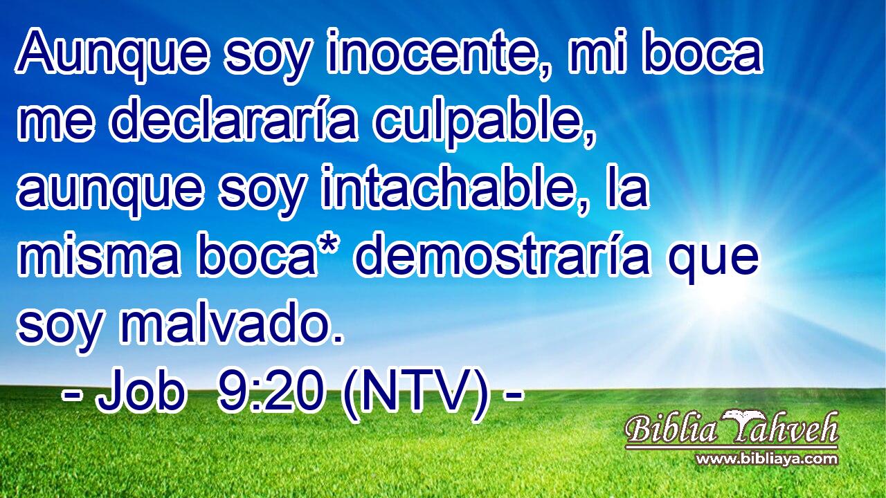 Aunque soy inocente, mi boca me declararía culpable, aunque soy intachable, la misma boca* demostraría que soy malvado.