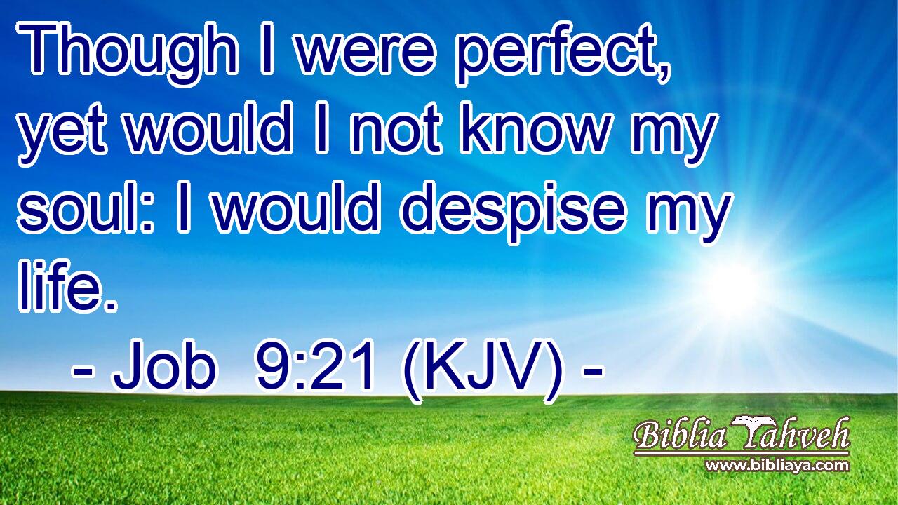 Though I were perfect, yet would I not know my soul: I would despise my life.