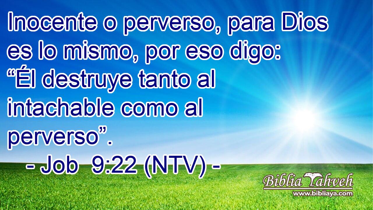 Inocente o perverso, para Dios es lo mismo, por eso digo: “Él destruye tanto al intachable como al perverso”.