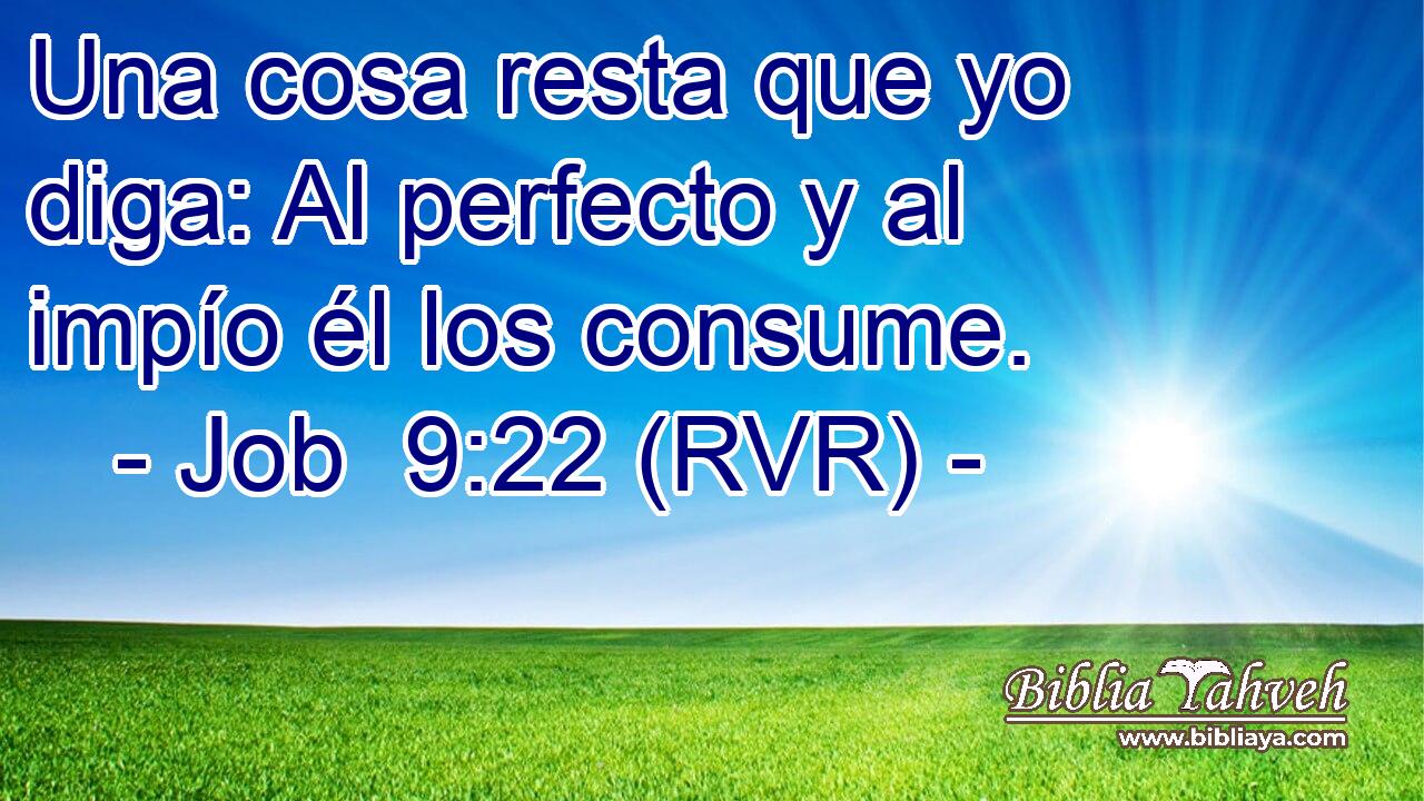 Una cosa resta que yo diga: Al perfecto y al impío él los consume.