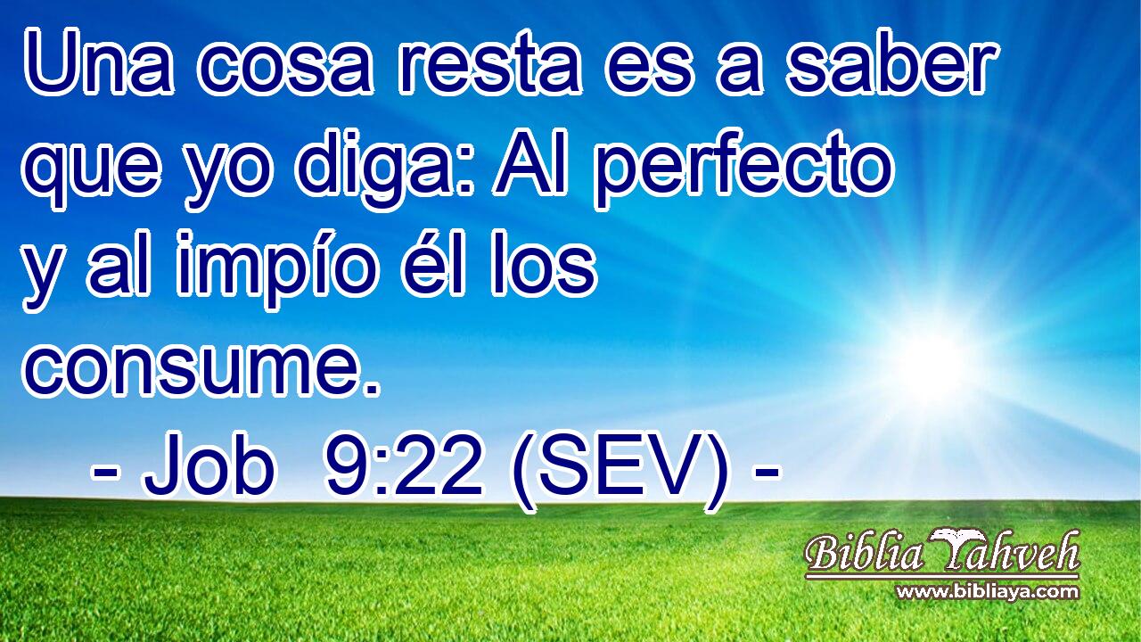 Una cosa resta es a saber que yo diga: Al perfecto y al impío él los consume.