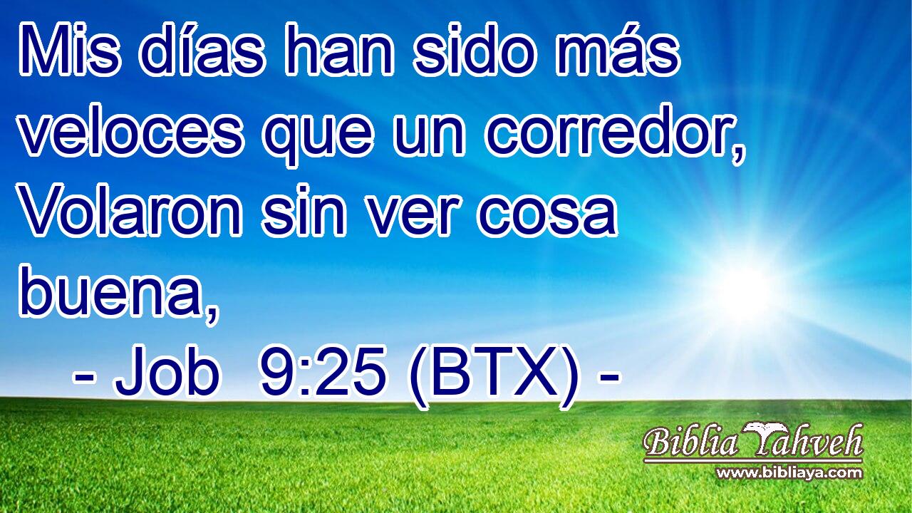 Mis días han sido más veloces que un corredor, Volaron sin ver cosa buena,