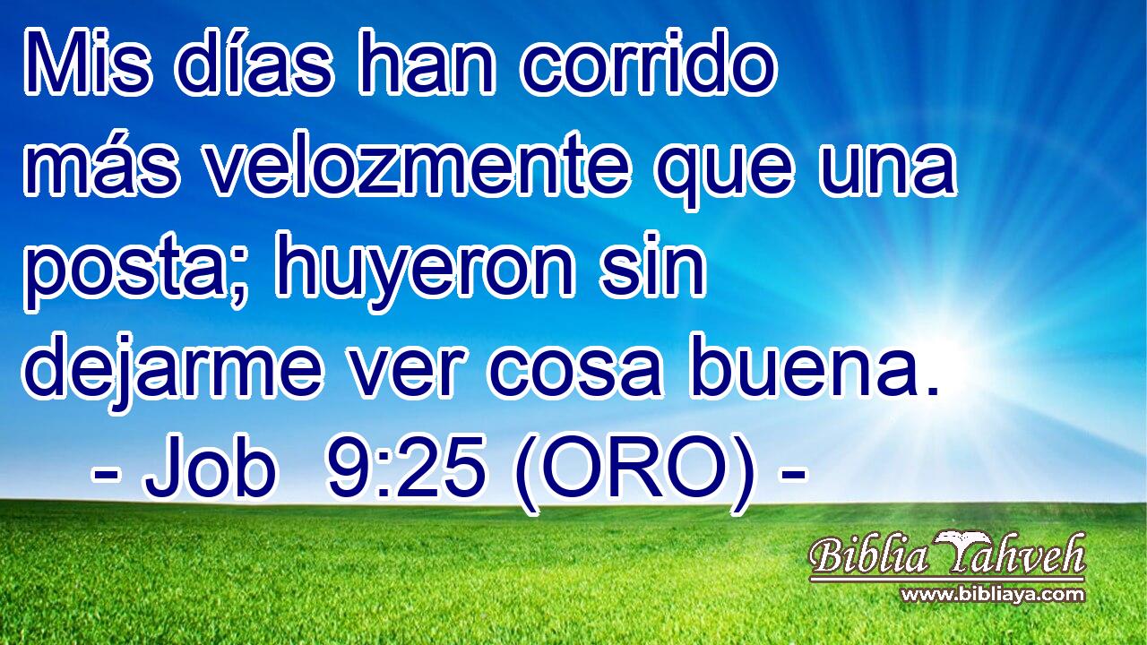  Mis días han corrido más velozmente que una posta; huyeron sin dejarme ver cosa buena. 