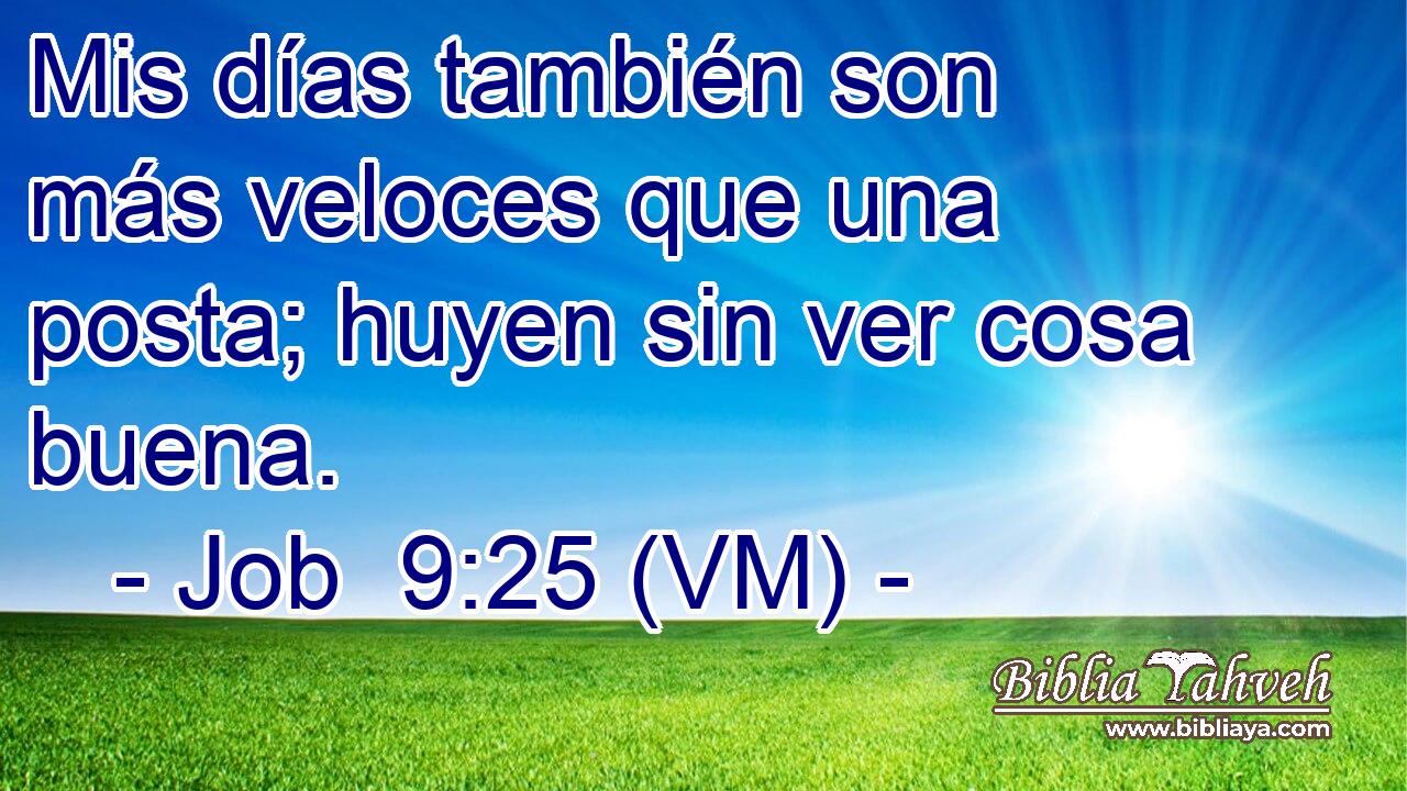  Mis días también son más veloces que una posta; huyen sin ver cosa buena. 