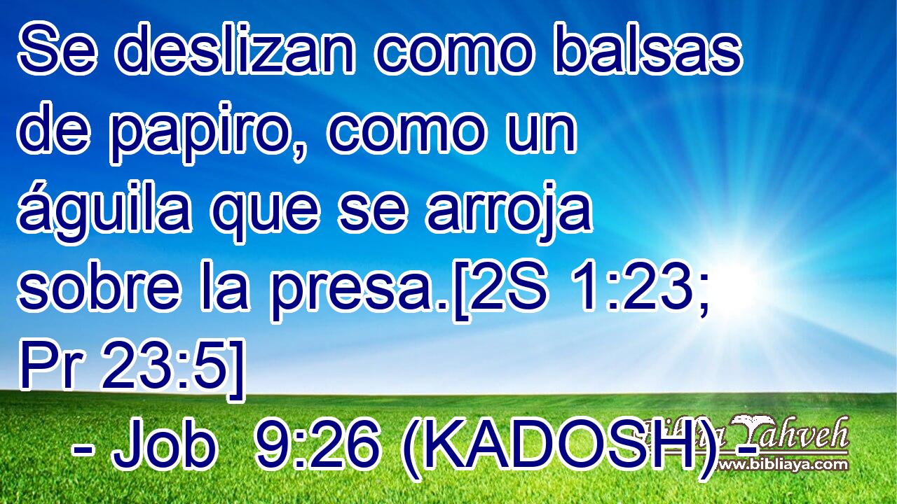  Se deslizan como balsas de papiro, como un águila que se arroja sobre la presa.[2S 1:23; Pr 23:5] 