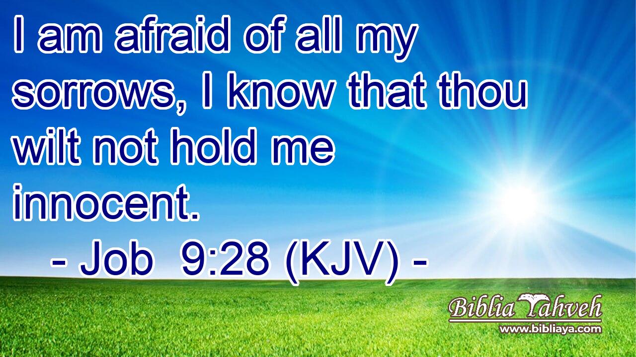 I am afraid of all my sorrows, I know that thou wilt not hold me innocent.