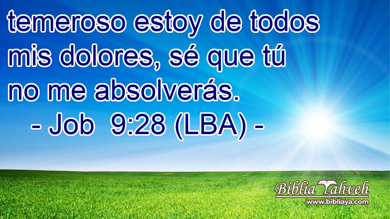temeroso estoy de todos mis dolores, sé que tú no me absolverás.