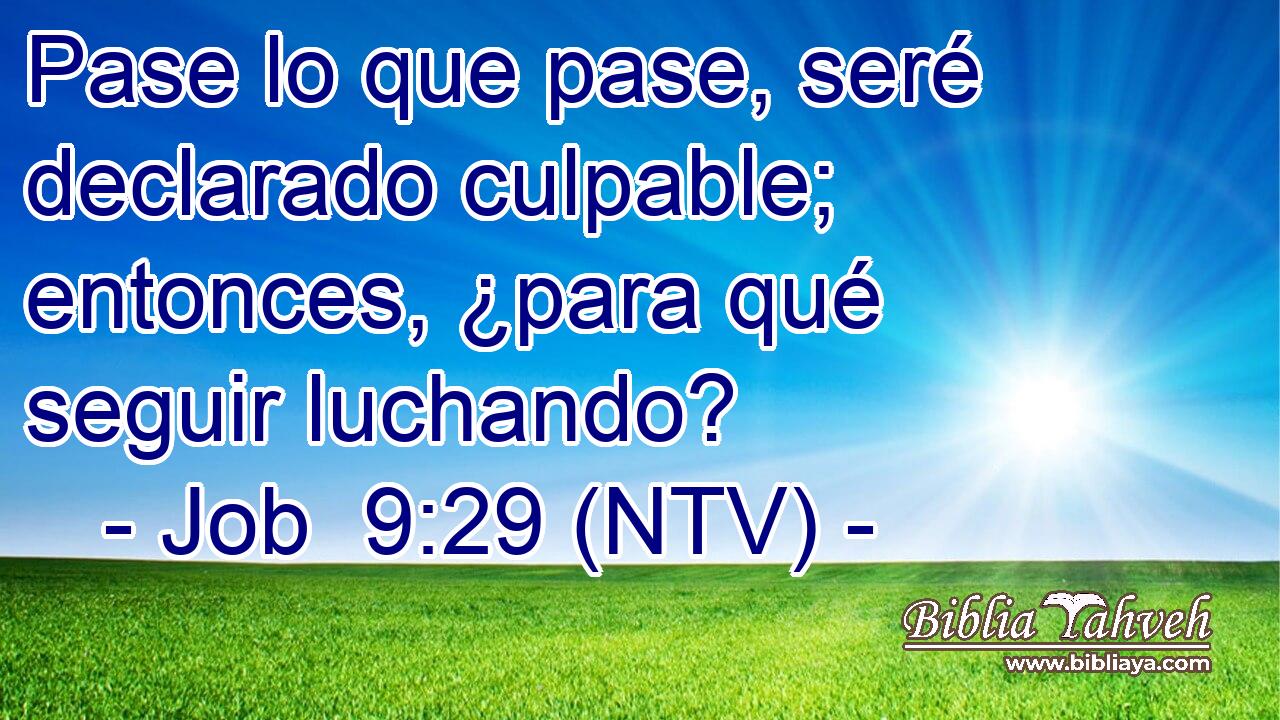 Pase lo que pase, seré declarado culpable; entonces, ¿para qué seguir luchando?