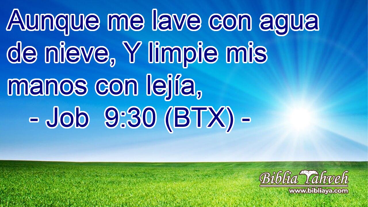 Aunque me lave con agua de nieve, Y limpie mis manos con lejía,