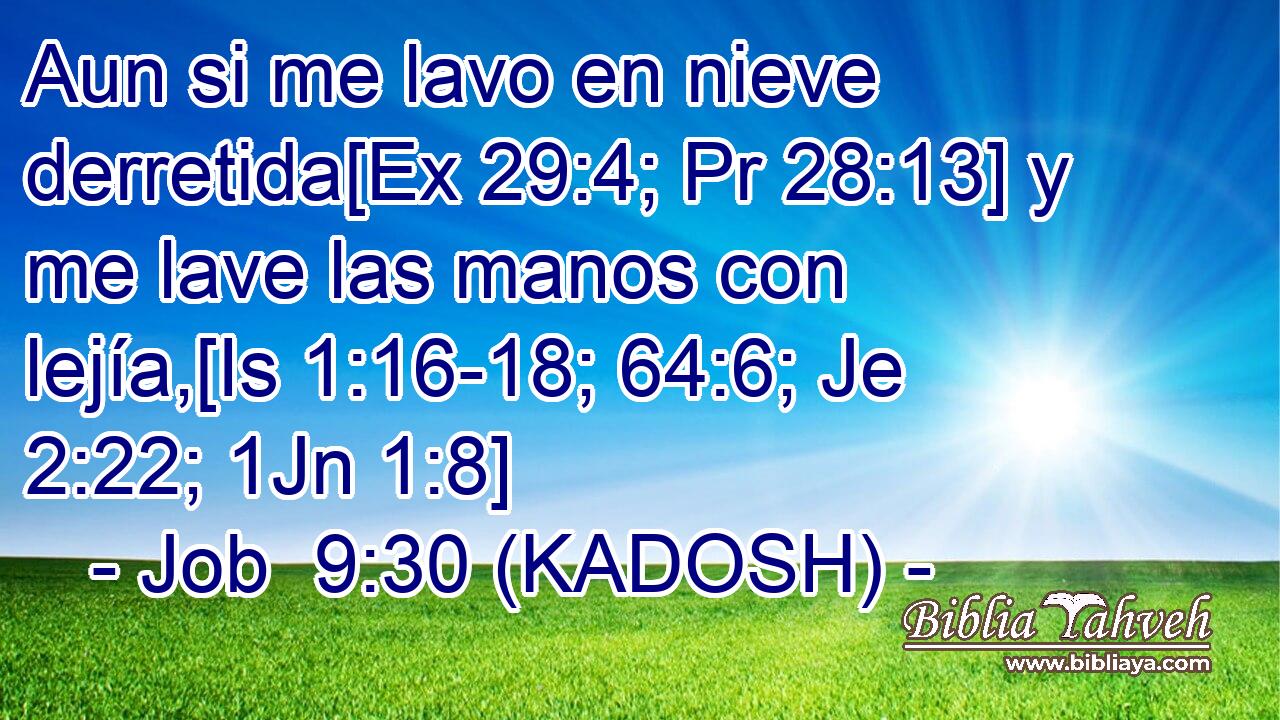  Aun si me lavo en nieve derretida[Ex 29:4; Pr 28:13] y me lave las manos con lejía,[Is 1:16-18; 64:6; Je 2:22; 1Jn 1:8] 