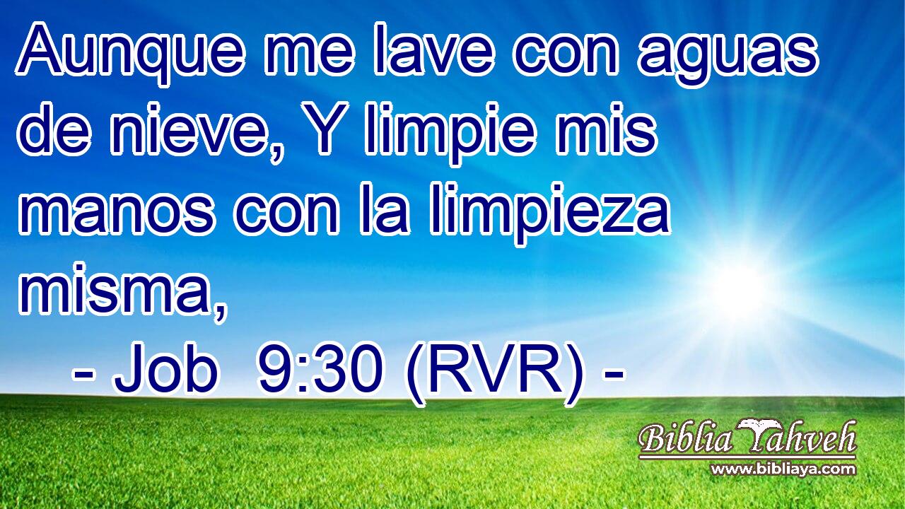 Aunque me lave con aguas de nieve, Y limpie mis manos con la limpieza misma,