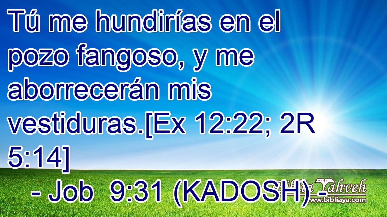  Tú me hundirías en el pozo fangoso, y me aborrecerán mis vestiduras.[Ex 12:22; 2R 5:14] 