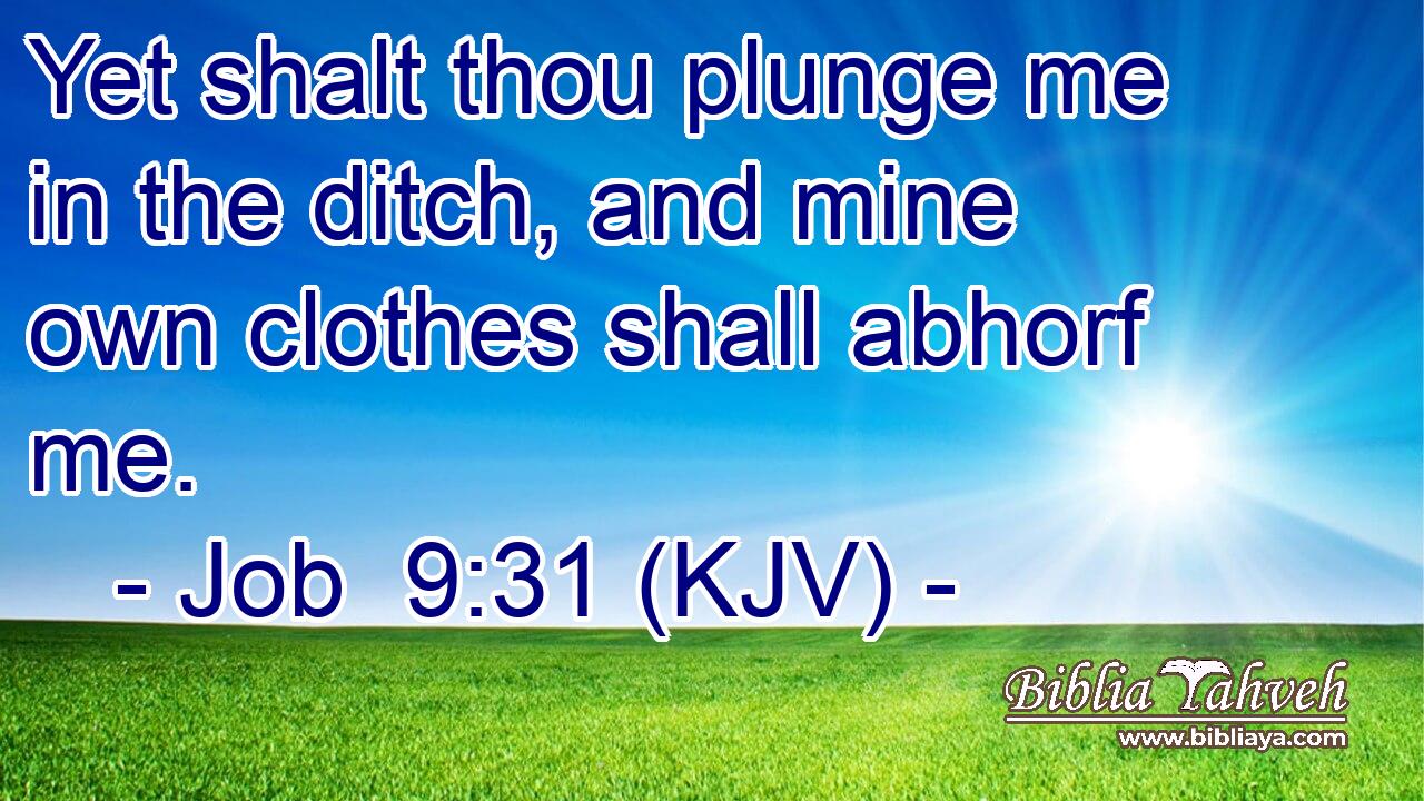 Yet shalt thou plunge me in the ditch, and mine own clothes shall abhorf me.
