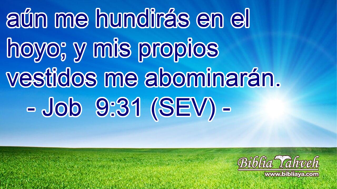 aún me hundirás en el hoyo; y mis propios vestidos me abominarán.