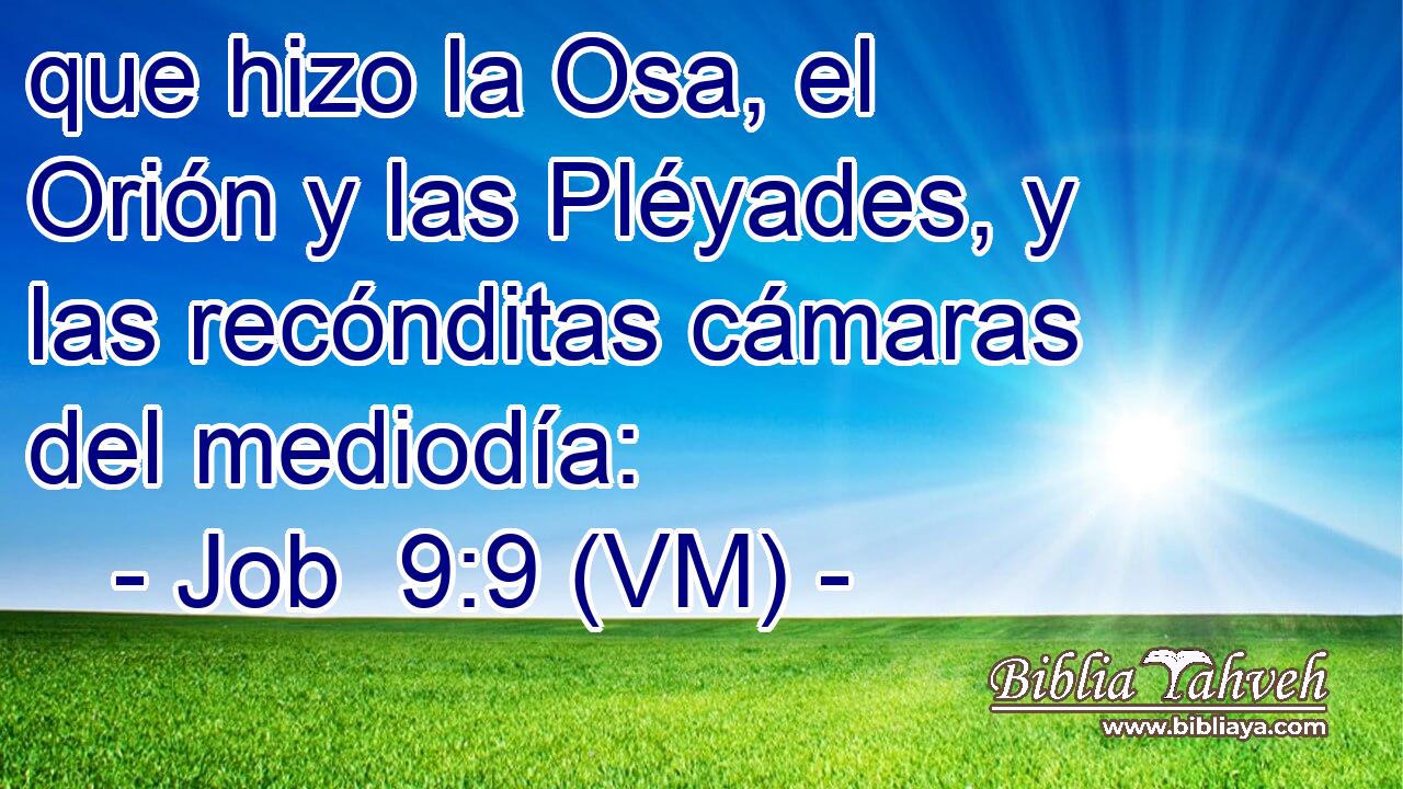  que hizo la Osa, el Orión y las Pléyades, y las recónditas cámaras del mediodía: 