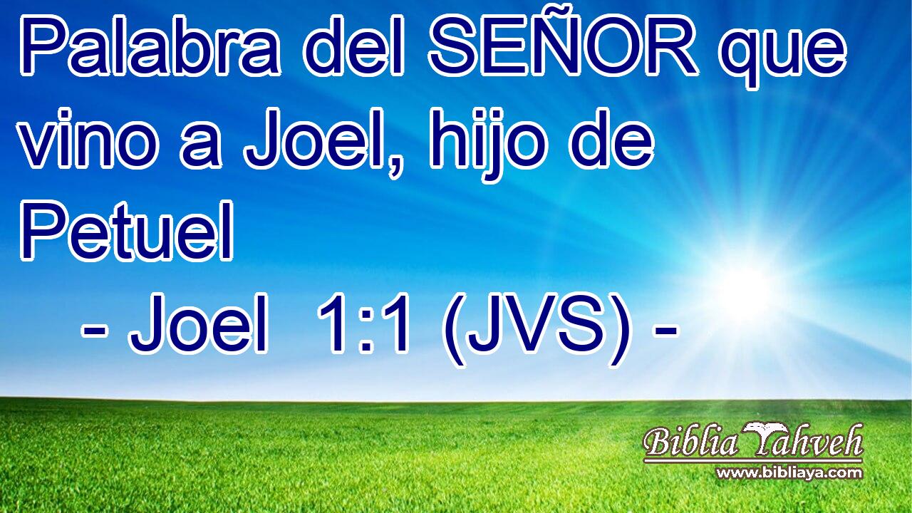 Palabra del SEÑOR que vino a Joel, hijo de Petuel