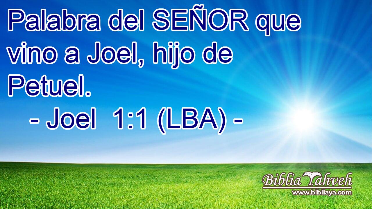 Palabra del SEÑOR que vino a Joel, hijo de Petuel.
