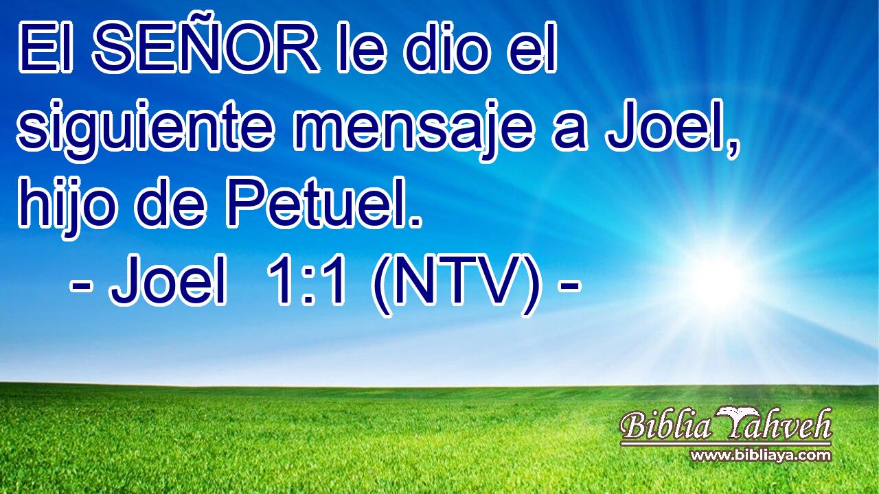 El SEÑOR le dio el siguiente mensaje a Joel, hijo de Petuel.