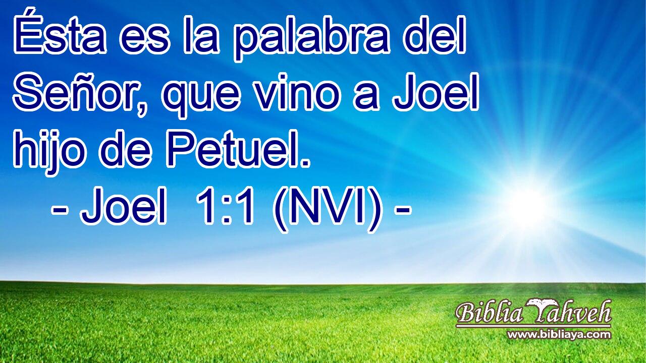  Ésta es la palabra del Señor, que vino a Joel hijo de Petuel. 