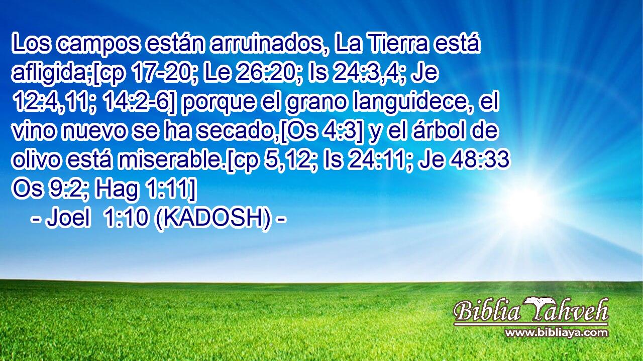  Los campos están arruinados, La Tierra está afligida;[cp 17-20; Le 26:20; Is 24:3,4; Je 12:4,11; 14:2-6] porque el grano languidece, el vino nuevo se ha secado,[Os 4:3] y el árbol de olivo está miserable.[cp 5,12; Is 24:11; Je 48:33 Os 9:2; Hag 1:11] 