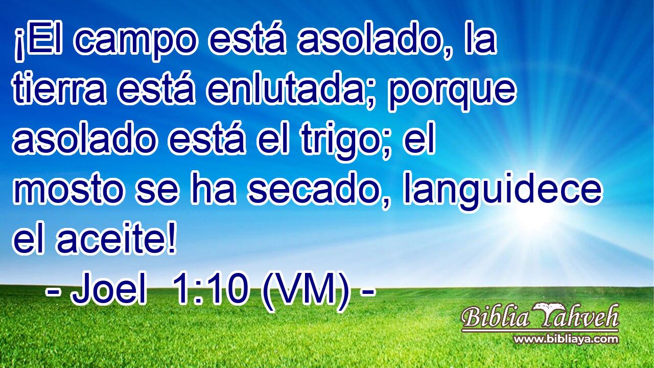  ¡El campo está asolado, la tierra está enlutada; porque asolado está el trigo; el mosto se ha secado, languidece el aceite! 