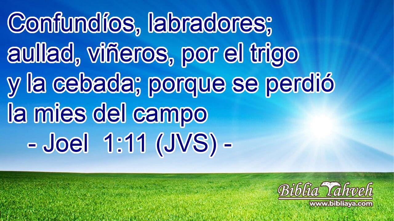 Confundíos, labradores; aullad, viñeros, por el trigo y la cebada; porque se perdió la mies del campo