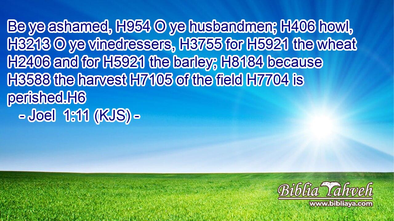 Be ye ashamed, H954 O ye husbandmen; H406 howl, H3213 O ye vinedressers, H3755 for H5921 the wheat H2406 and for H5921 the barley; H8184 because H3588 the harvest H7105 of the field H7704 is perished.H6