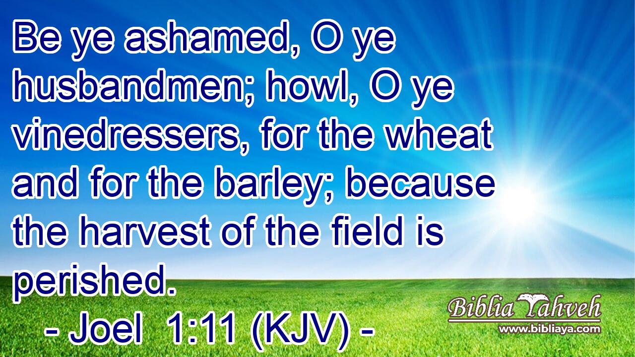 Be ye ashamed, O ye husbandmen; howl, O ye vinedressers, for the wheat and for the barley; because the harvest of the field is perished.