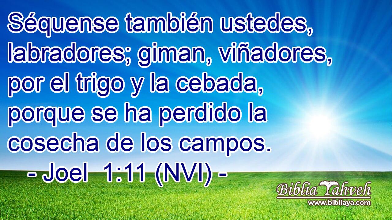  Séquense también ustedes, labradores; giman, viñadores, por el trigo y la cebada, porque se ha perdido la cosecha de los campos. 