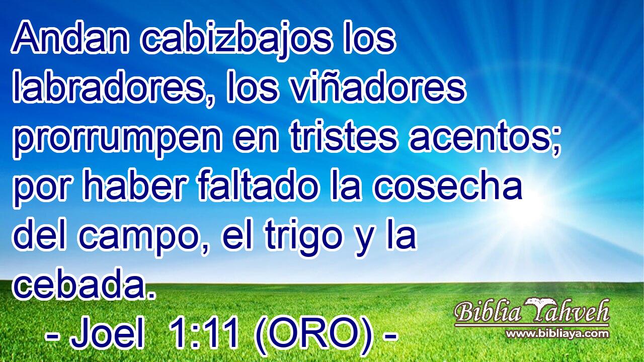  Andan cabizbajos los labradores, los viñadores prorrumpen en tristes acentos; por haber faltado la cosecha del campo, el trigo y la cebada. 