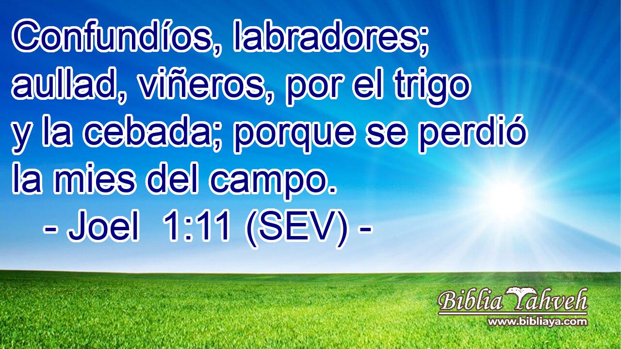 Confundíos, labradores; aullad, viñeros, por el trigo y la cebada; porque se perdió la mies del campo.