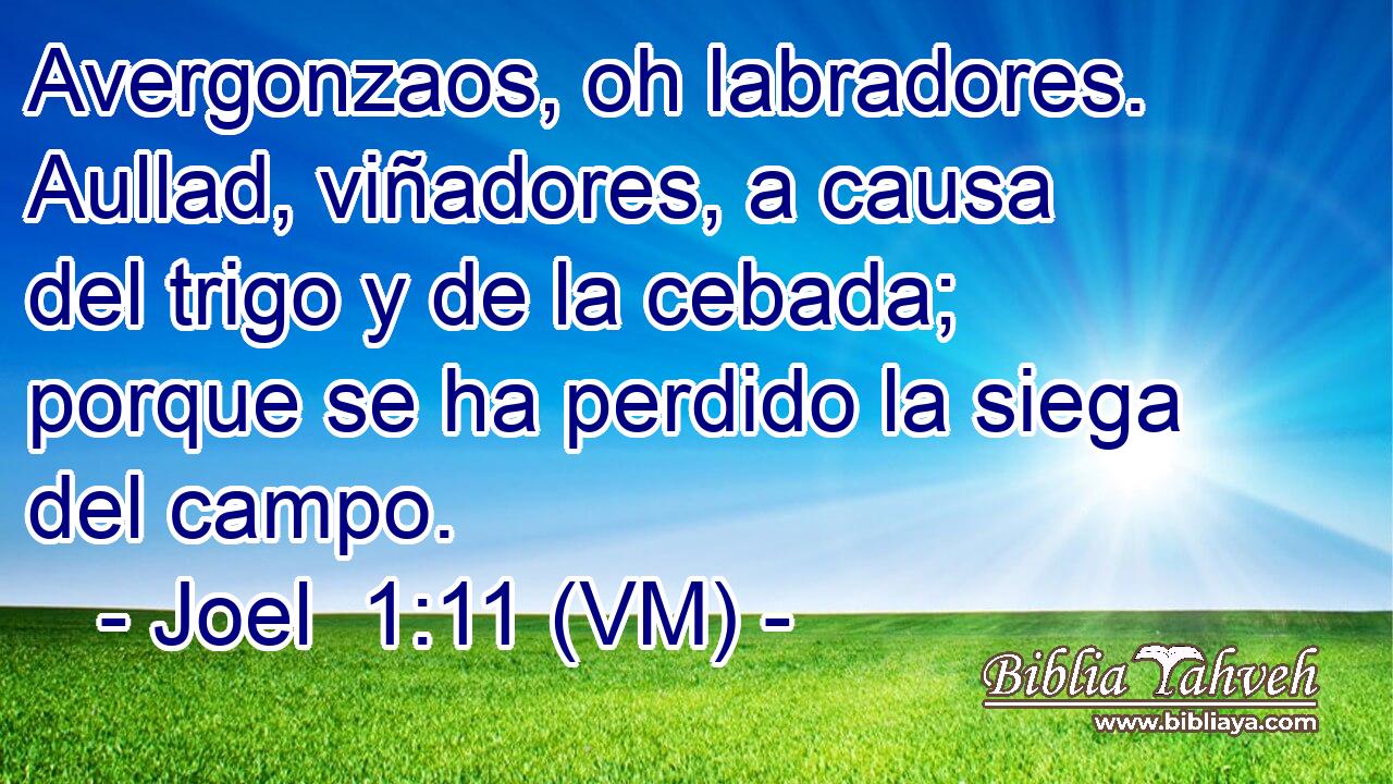 Avergonzaos, oh labradores. Aullad, viñadores, a causa del trigo y de la cebada; porque se ha perdido la siega del campo. 