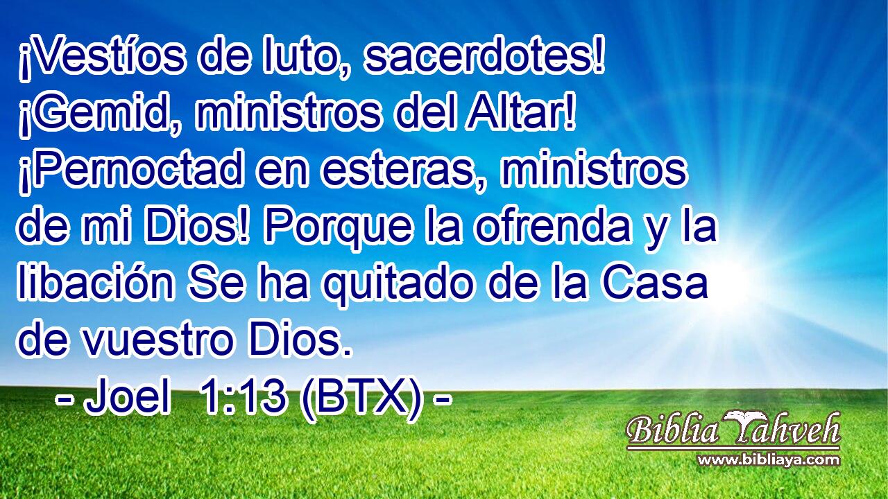 ¡Vestíos de luto, sacerdotes! ¡Gemid, ministros del Altar! ¡Pernoctad en esteras, ministros de mi Dios! Porque la ofrenda y la libación Se ha quitado de la Casa de vuestro Dios.
