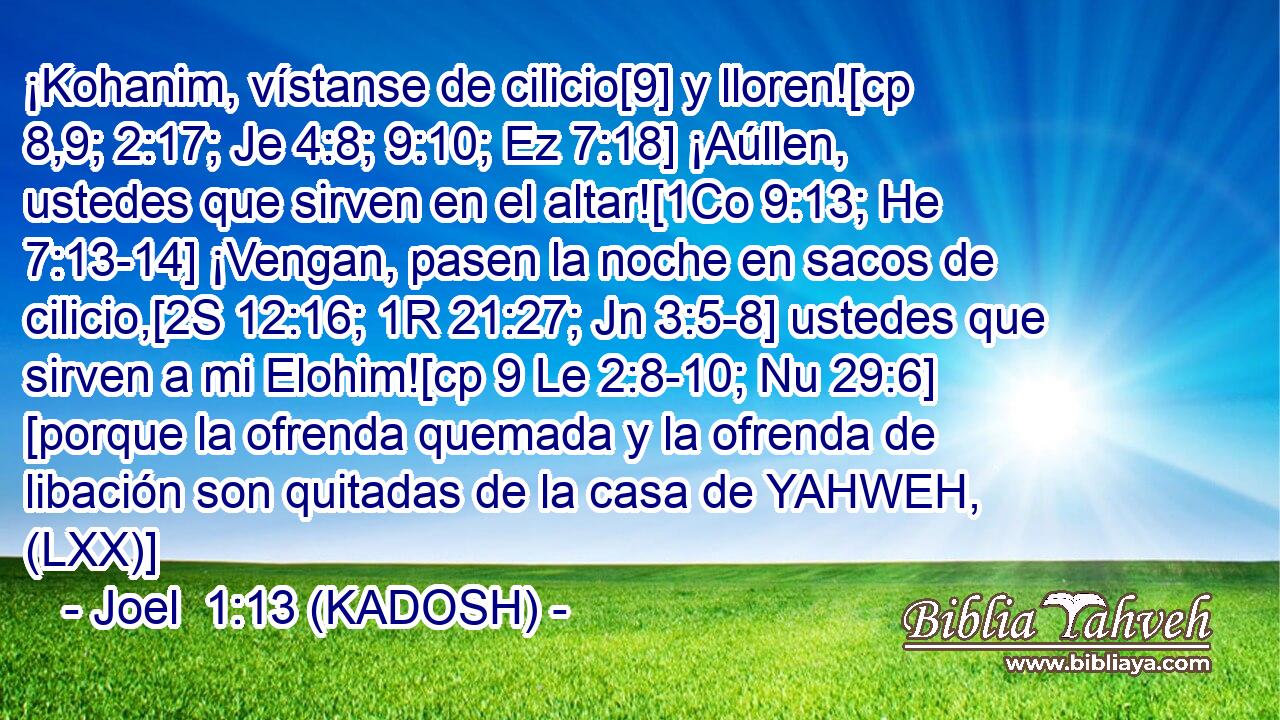  ¡Kohanim, vístanse de cilicio[9] y lloren![cp 8,9; 2:17; Je 4:8; 9:10; Ez 7:18] ¡Aúllen, ustedes que sirven en el altar![1Co 9:13; He 7:13-14] ¡Vengan, pasen la noche en sacos de cilicio,[2S 12:16; 1R 21:27; Jn 3:5-8] ustedes que sirven a mi Elohim![cp 9 Le 2:8-10; Nu 29:6] [porque la ofrenda quemada y la ofrenda de libación son quitadas de la casa de YAHWEH, (LXX)] 