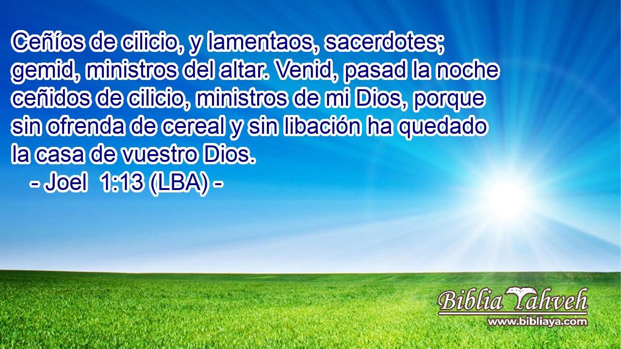 Ceñíos de cilicio, y lamentaos, sacerdotes; gemid, ministros del altar. Venid, pasad la noche ceñidos de cilicio, ministros de mi Dios, porque sin ofrenda de cereal y sin libación ha quedado la casa de vuestro Dios.