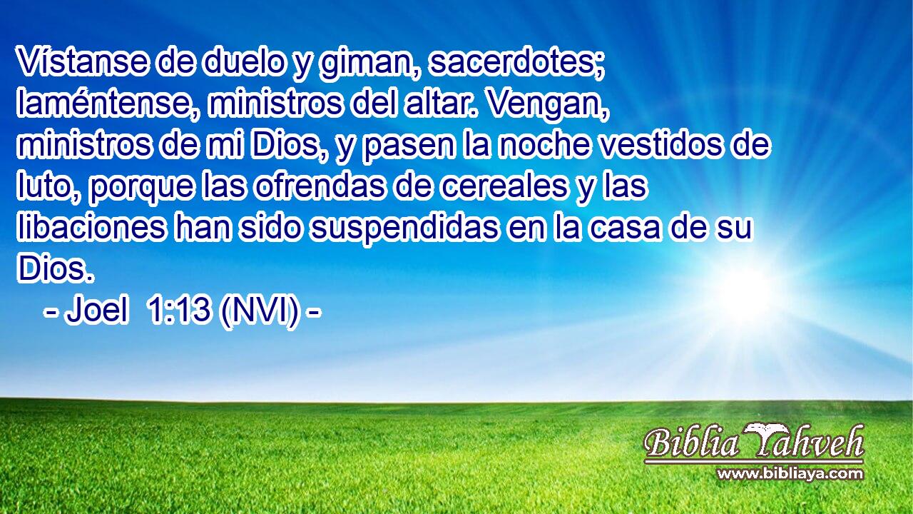  Vístanse de duelo y giman, sacerdotes; laméntense, ministros del altar. Vengan, ministros de mi Dios, y pasen la noche vestidos de luto, porque las ofrendas de cereales y las libaciones han sido suspendidas en la casa de su Dios. 