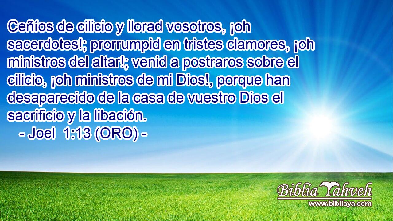  Ceñíos de cilicio y llorad vosotros, ¡oh sacerdotes!; prorrumpid en tristes clamores, ¡oh ministros del altar!; venid a postraros sobre el cilicio, ¡oh ministros de mi Dios!, porque han desaparecido de la casa de vuestro Dios el sacrificio y la libación. 