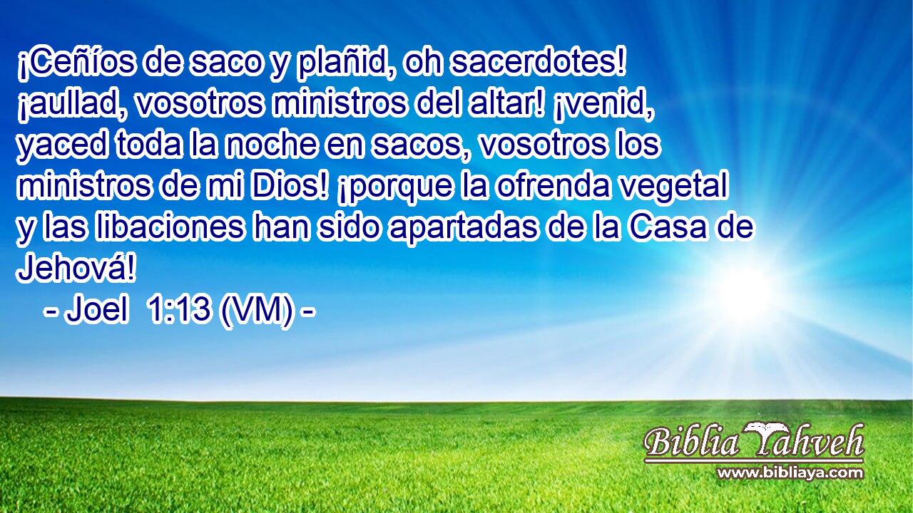  ¡Ceñíos de saco y plañid, oh sacerdotes! ¡aullad, vosotros ministros del altar! ¡venid, yaced toda la noche en sacos, vosotros los ministros de mi Dios! ¡porque la ofrenda vegetal y las libaciones han sido apartadas de la Casa de Jehová! 