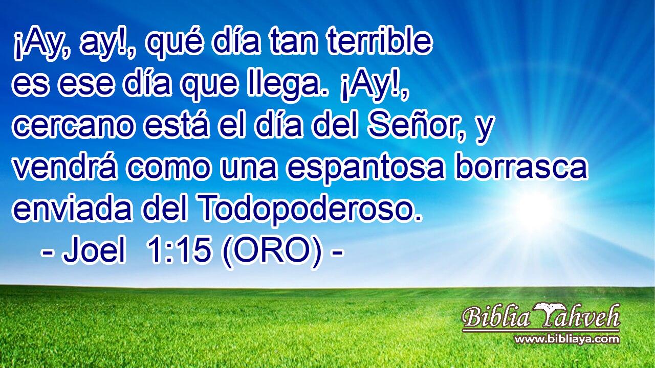  ¡Ay, ay!, qué día tan terrible es ese día que llega. ¡Ay!, cercano está el día del Señor, y vendrá como una espantosa borrasca enviada del Todopoderoso. 