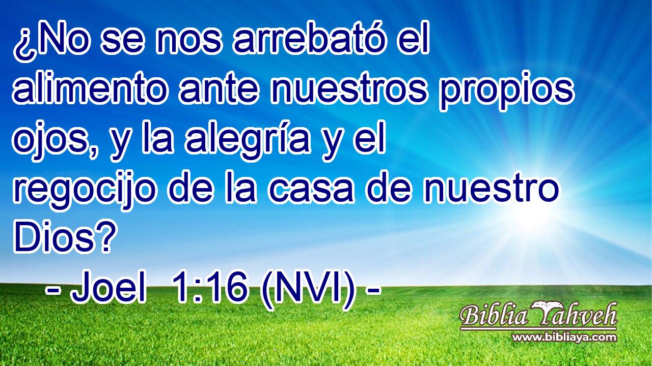  ¿No se nos arrebató el alimento ante nuestros propios ojos, y la alegría y el regocijo de la casa de nuestro Dios? 
