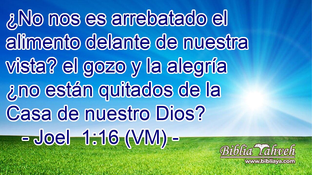  ¿No nos es arrebatado el alimento delante de nuestra vista? el gozo y la alegría ¿no están quitados de la Casa de nuestro Dios? 