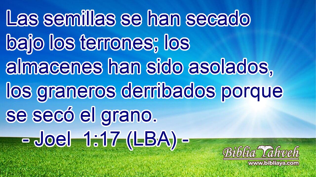 Las semillas se han secado bajo los terrones; los almacenes han sido asolados, los graneros derribados porque se secó el grano.